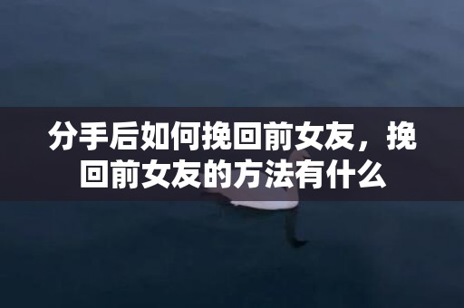 分手后如何挽回前女友，挽回前女友的方法有什么