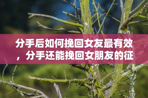 分手后如何挽回女友最有效，分手还能挽回女朋友的征兆！
