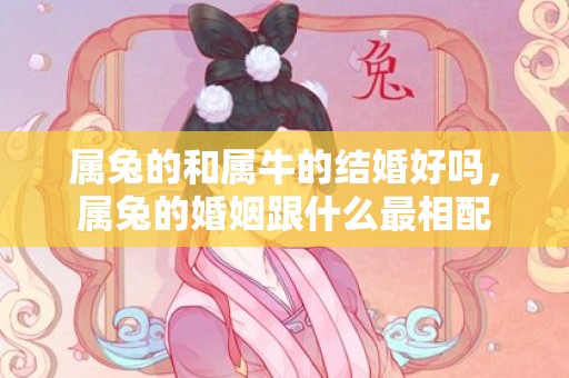 属兔的和属牛的结婚好吗，属兔的婚姻跟什么最相配