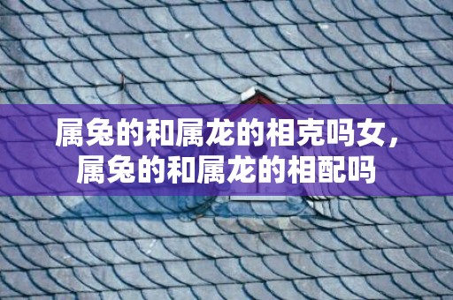 属兔的和属龙的相克吗女，属兔的和属龙的相配吗