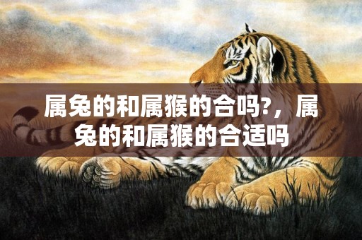 属兔的和属猴的合吗?，属兔的和属猴的合适吗