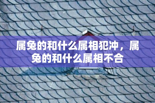 属兔的和什么属相犯冲，属兔的和什么属相不合