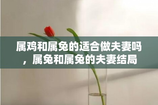 属鸡和属兔的适合做夫妻吗，属兔和属兔的夫妻结局