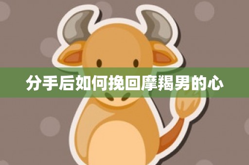 分手后如何挽回摩羯男的心