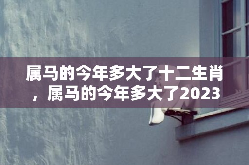 属马的今年多大了十二生肖，属马的今年多大了2023年