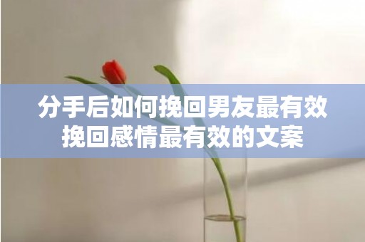 分手后如何挽回男友最有效挽回感情最有效的文案