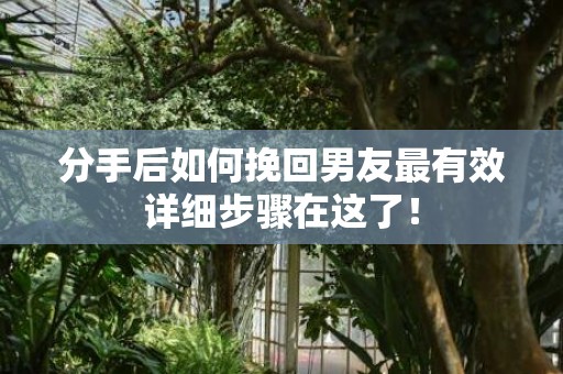 分手后如何挽回男友最有效详细步骤在这了！