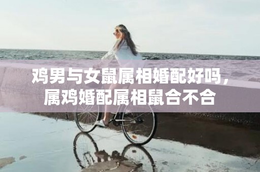 鸡男与女鼠属相婚配好吗，属鸡婚配属相鼠合不合