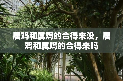 属鸡和属鸡的合得来没，属鸡和属鸡的合得来吗