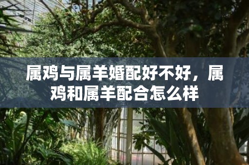 属鸡与属羊婚配好不好，属鸡和属羊配合怎么样