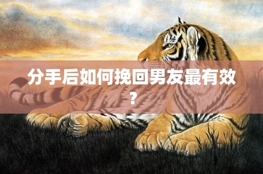 分手后如何挽回男友最有效？