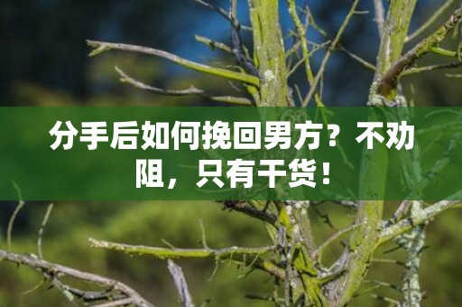分手后如何挽回男方？不劝阻，只有干货！