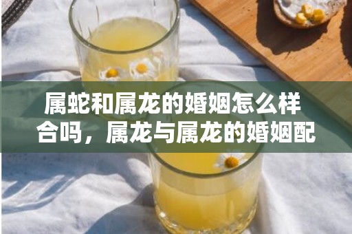 属蛇和属龙的婚姻怎么样 合吗，属龙与属龙的婚姻配吗