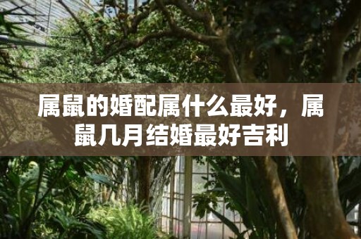 属鼠的婚配属什么最好，属鼠几月结婚最好吉利