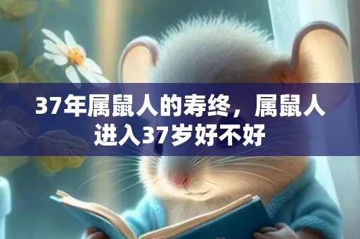 37年属鼠人的寿终，属鼠人进入37岁好不好