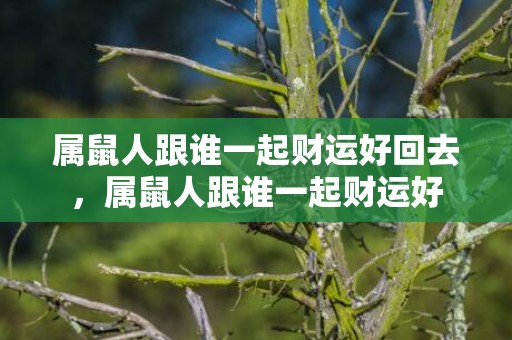 属鼠人跟谁一起财运好回去，属鼠人跟谁一起财运好