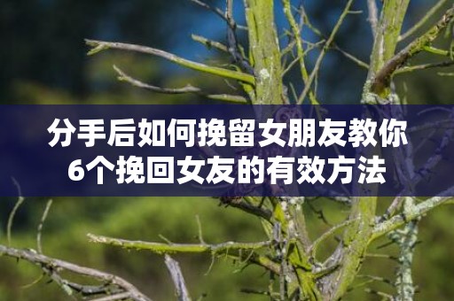 分手后如何挽留女朋友教你6个挽回女友的有效方法