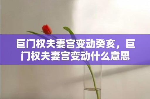 巨门权夫妻宫变动癸亥，巨门权夫妻宫变动什么意思
