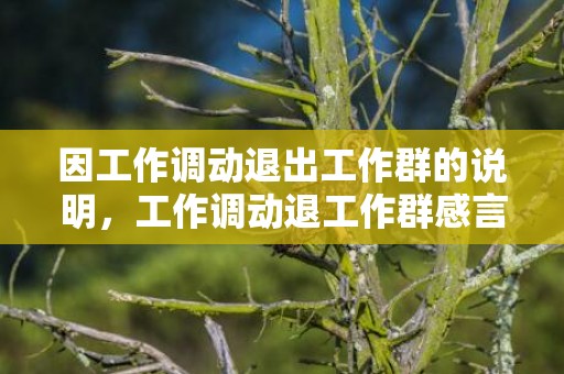 因工作调动退出工作群的说明，工作调动退工作群感言