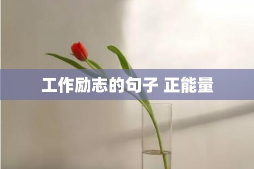 工作励志的句子 正能量