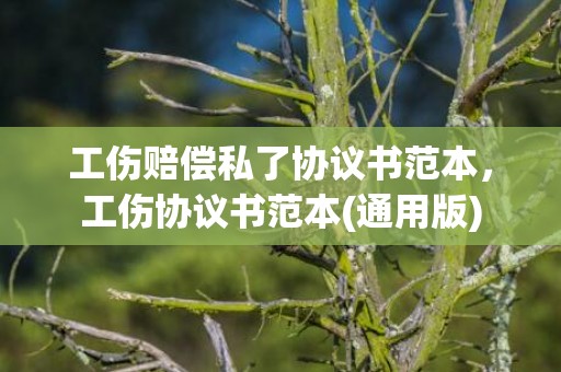工伤赔偿私了协议书范本，工伤协议书范本(通用版)