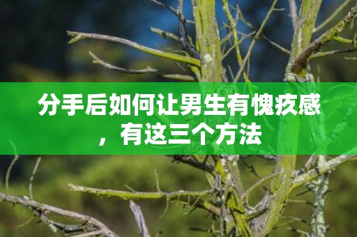 分手后如何让男生有愧疚感，有这三个方法