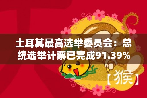 土耳其最高选举委员会：总统选举计票已完成91.39%，现任总统得票暂居第一