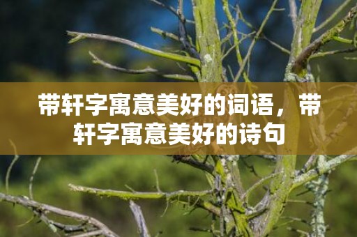 带轩字寓意美好的词语，带轩字寓意美好的诗句