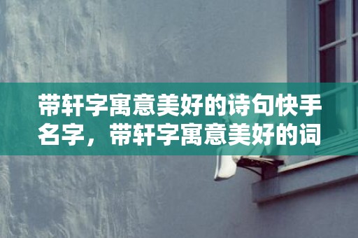 带轩字寓意美好的诗句快手名字，带轩字寓意美好的词语