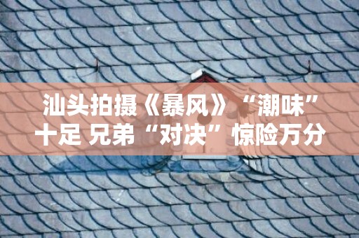汕头拍摄《暴风》“潮味”十足 兄弟“对决”惊险万分