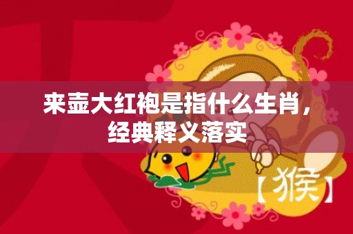 来壶大红袍是指什么生肖，经典释义落实