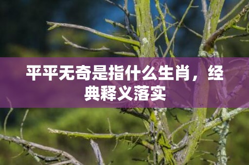 平平无奇是指什么生肖，经典释义落实
