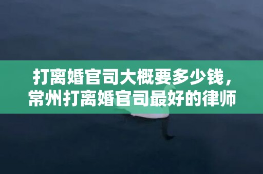 打离婚官司大概要多少钱，常州打离婚官司最好的律师