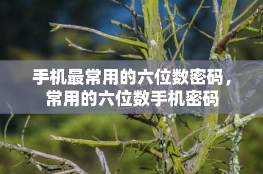 手机最常用的六位数密码，常用的六位数手机密码
