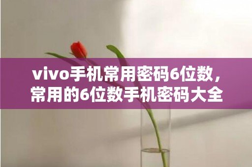 vivo手机常用密码6位数，常用的6位数手机密码大全