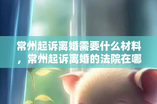常州起诉离婚需要什么材料，常州起诉离婚的法院在哪