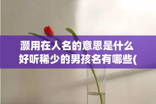 灏用在人名的意思是什么 好听稀少的男孩名有哪些(灏远的人名意思)