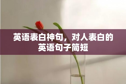英语表白神句，对人表白的英语句子简短