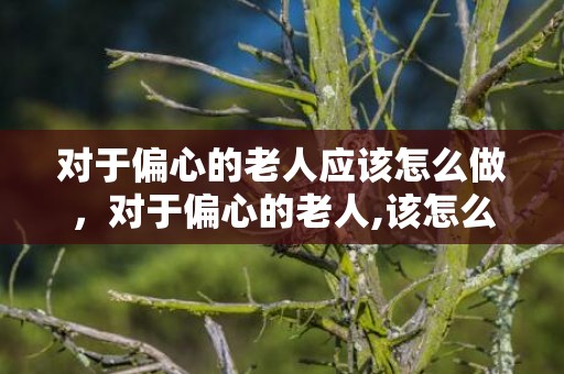 对于偏心的老人应该怎么做，对于偏心的老人,该怎么办