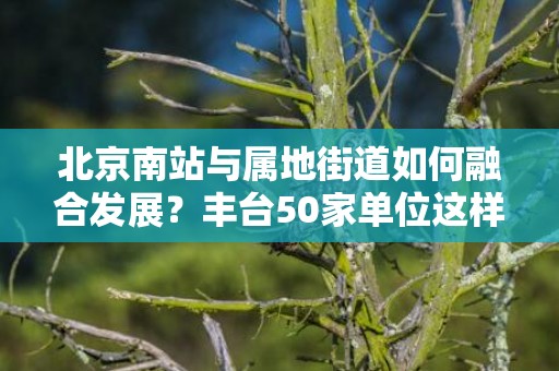 北京南站与属地街道如何融合发展？丰台50家单位这样共建矩阵