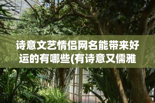诗意文艺情侣网名能带来好运的有哪些(有诗意又儒雅的情侣网名)