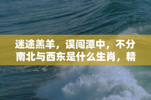 迷途羔羊，误闯潭中，不分南北与西东是什么生肖，精准诗词落实