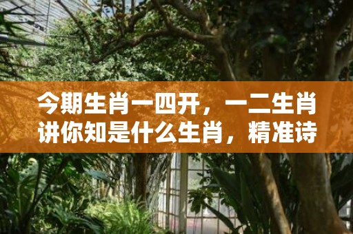 今期生肖一四开，一二生肖讲你知是什么生肖，精准诗词落实