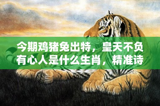 今期鸡猪兔出特，皇天不负有心人是什么生肖，精准诗词落实