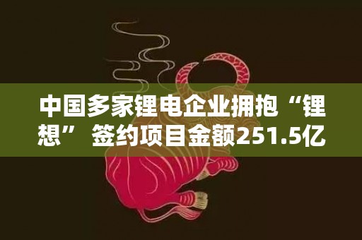 中国多家锂电企业拥抱“锂想” 签约项目金额251.5亿元