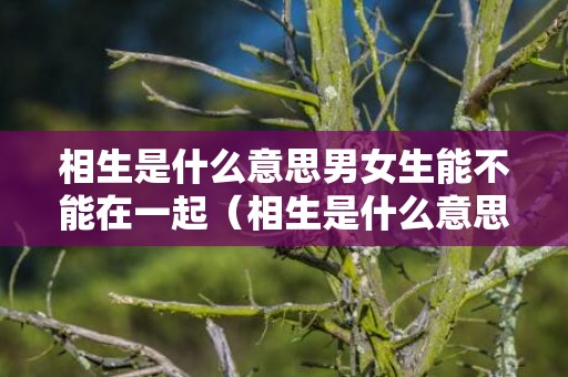 相生是什么意思男女生能不能在一起（相生是什么意思）