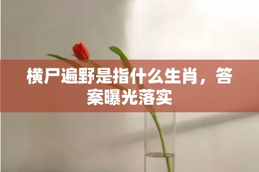 横尸遍野是指什么生肖，答案曝光落实