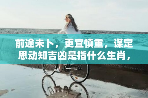 前途未卜，更宜慎重，谋定思动知吉凶是指什么生肖，词典精准落实