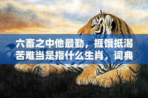 六畜之中他最勤，捱饿抵渴苦难当是指什么生肖，词典精准落实
