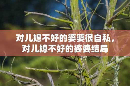 对儿媳不好的婆婆很自私，对儿媳不好的婆婆结局
